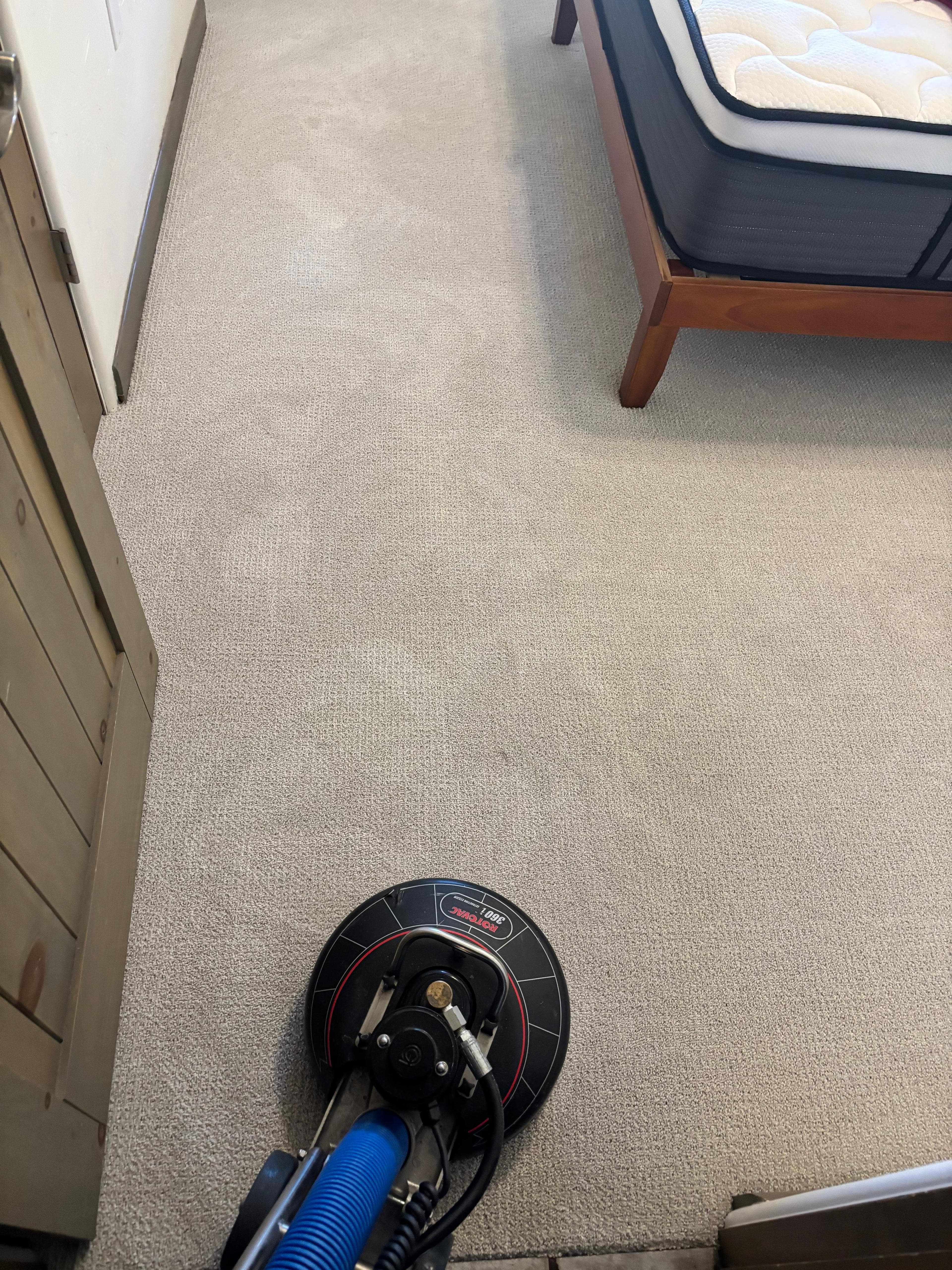 Cleaning equipment near rug and carpeted room surfaces