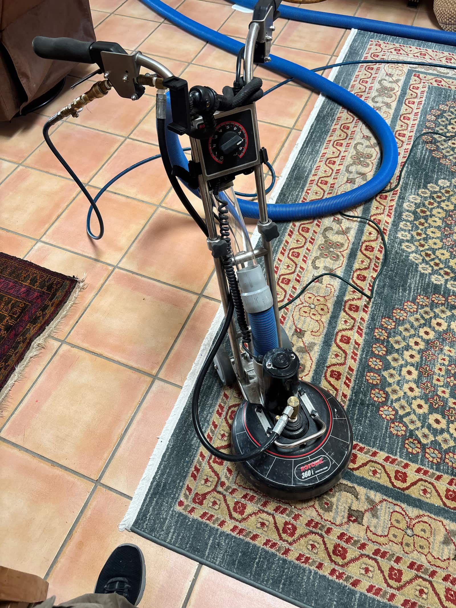 Area rug cleaned during an area rug cleaning job in Las Cruces, NM