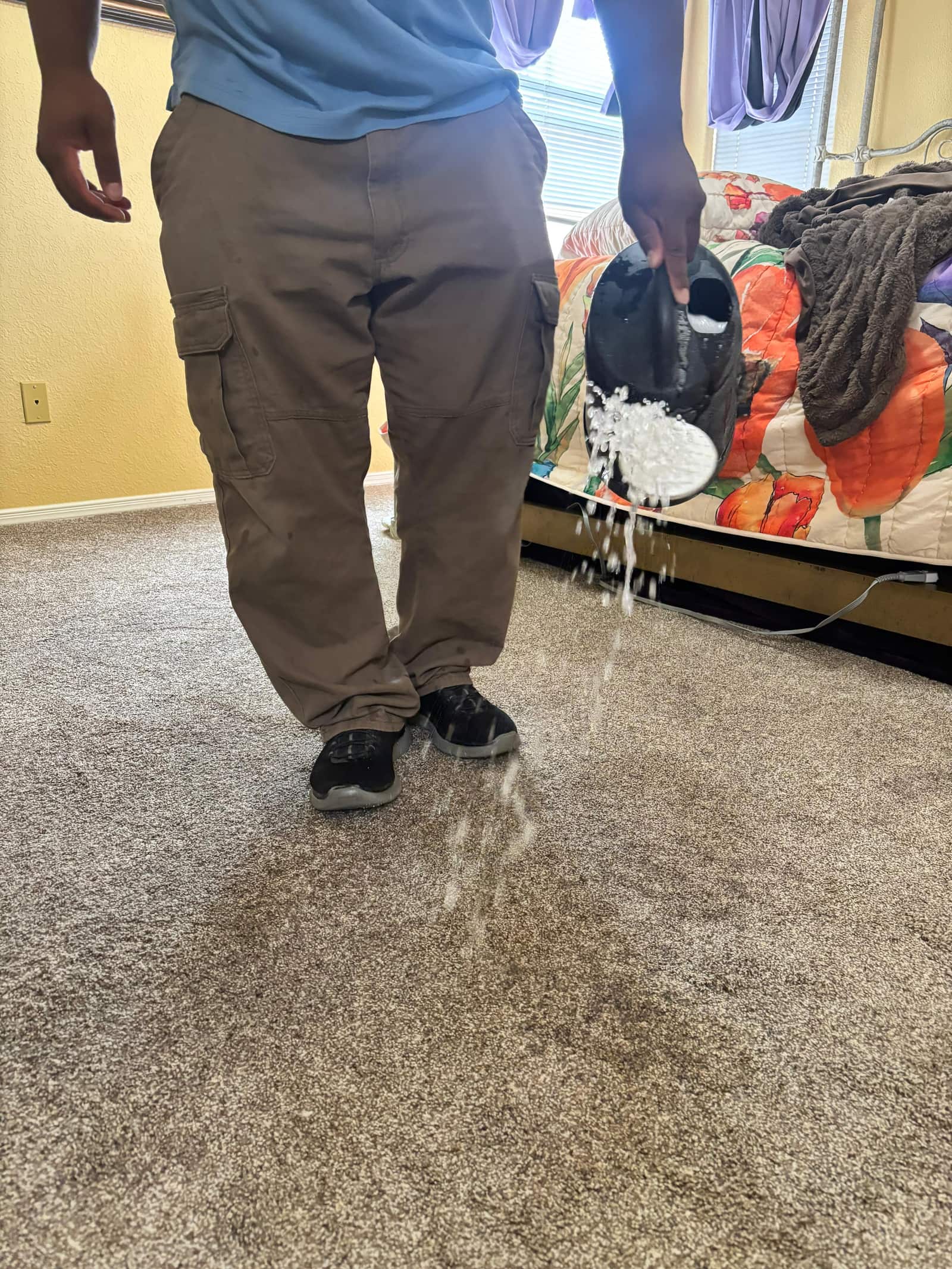 Carpet steam cleaning during a carpet cleaning job in Las Cruces, NM