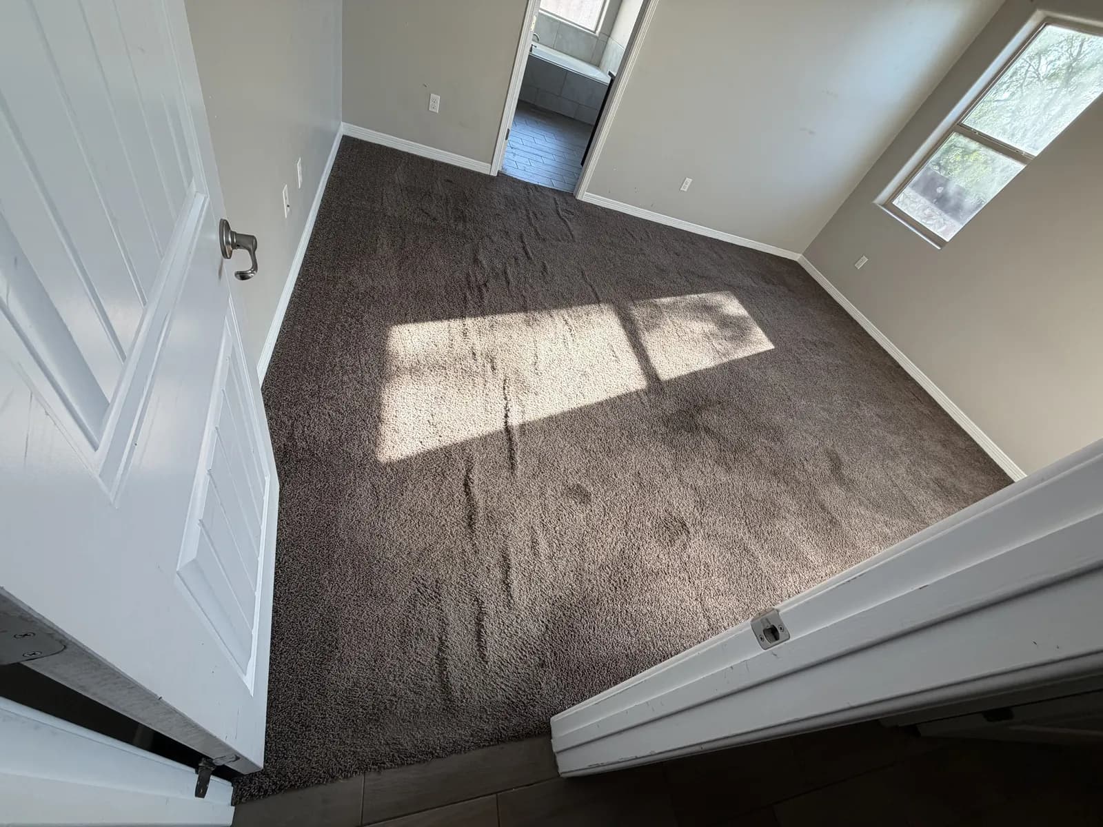 Bedroom carpet with ripples and wrinkles showing in the window light before carpet stretching