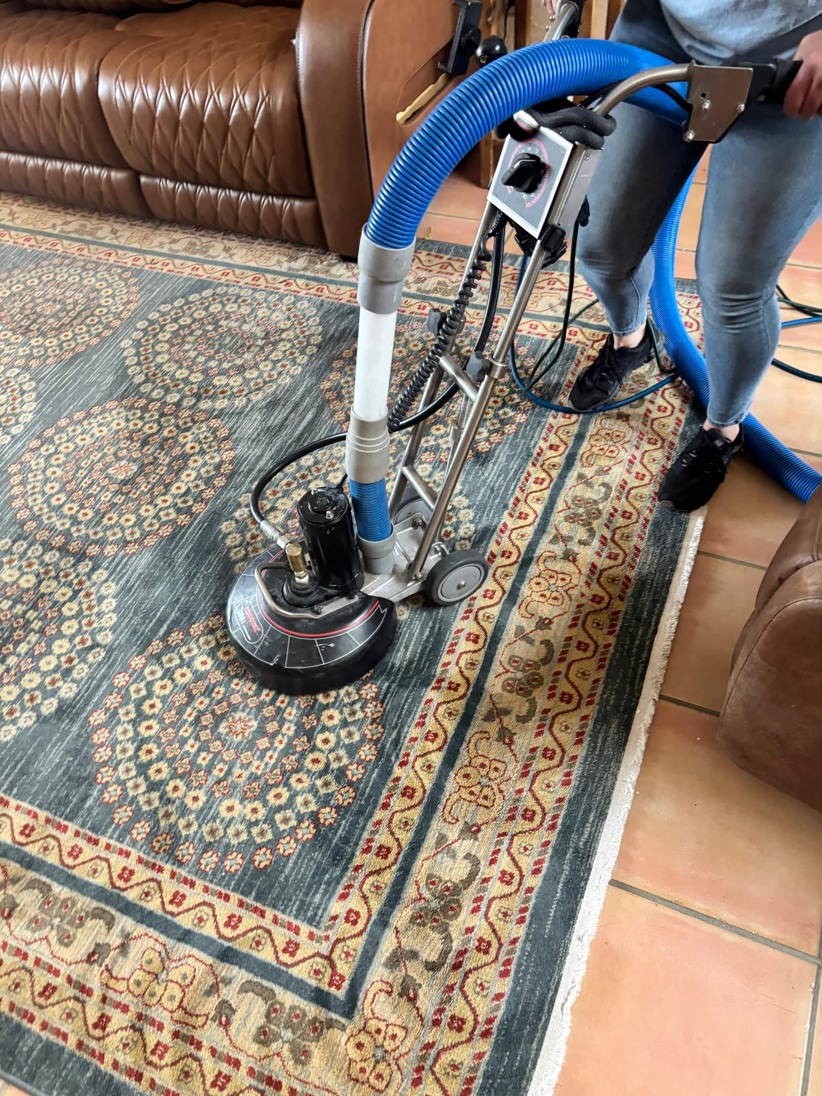Oriental area rug cleaned during a rug cleaning job in Las Cruces, NM