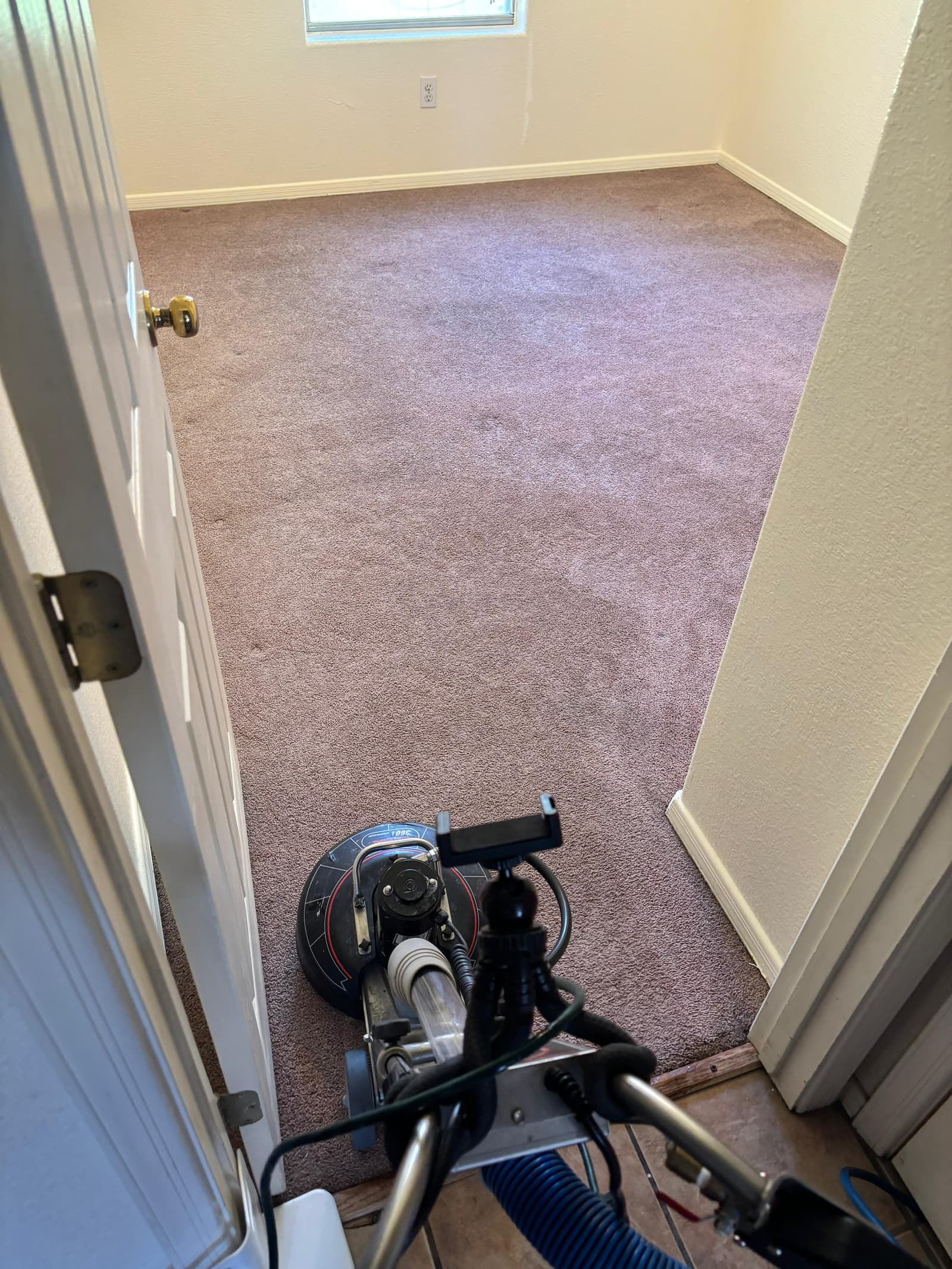 Residential bedroom carpet cleaned during a carpet cleaning job in Las Cruces, NM