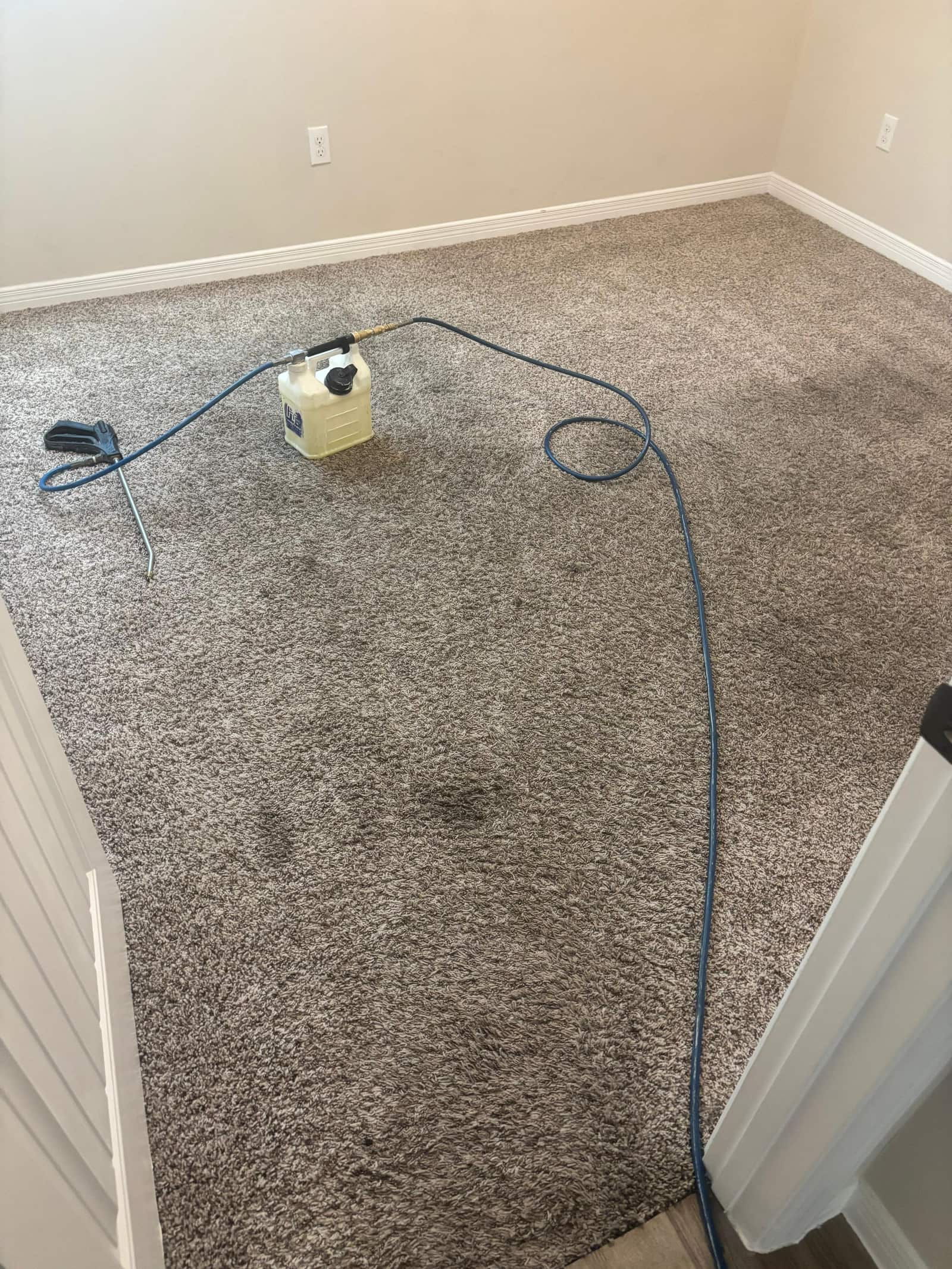 Freshly cleaned residential carpet after a carpet cleaning job in Las Cruces, NM