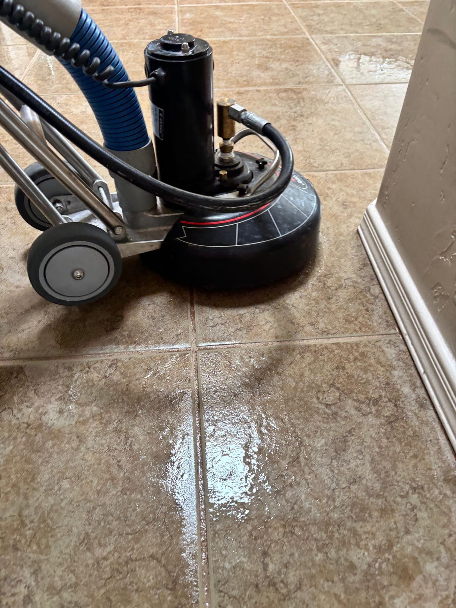 Grout lines scrubbed during a tile and grout cleaning job in Las Cruces, NM