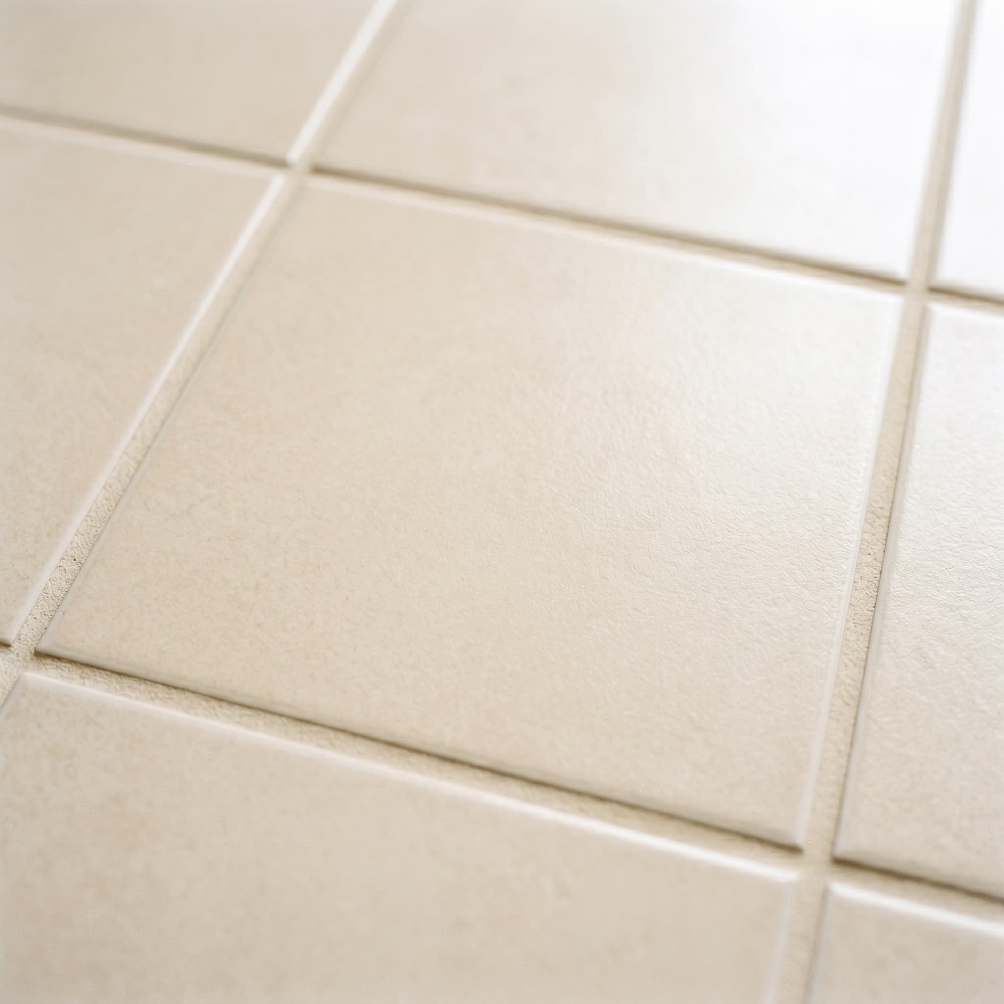 Tile and Grout after visual